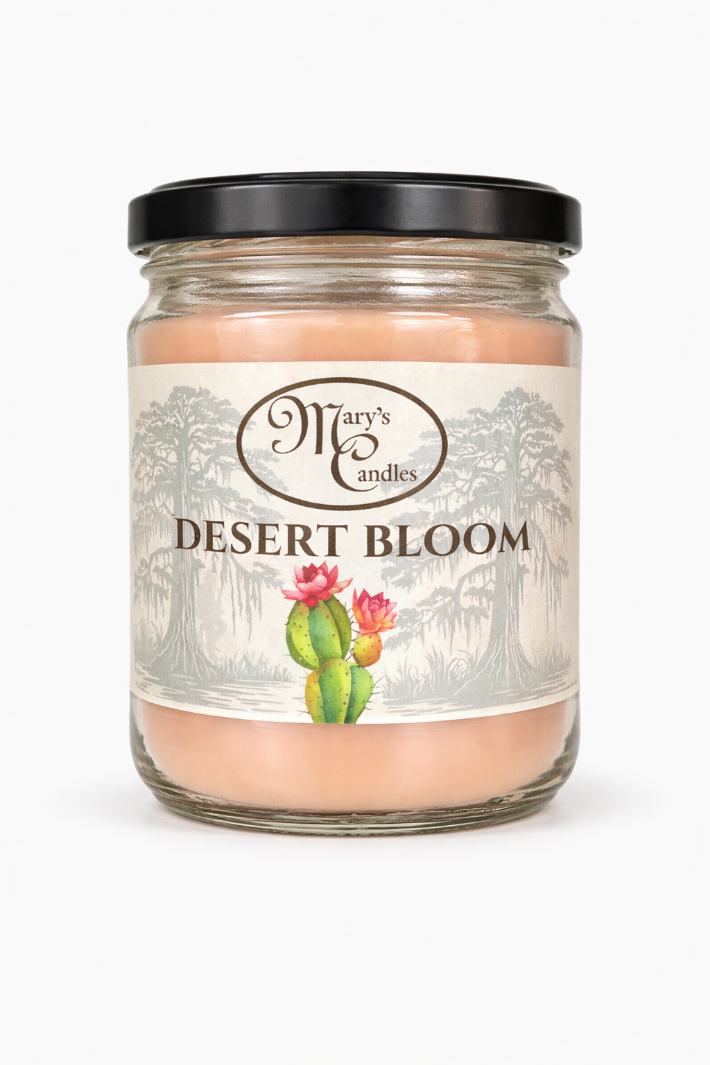 Desert Bloom 🌵🌸
