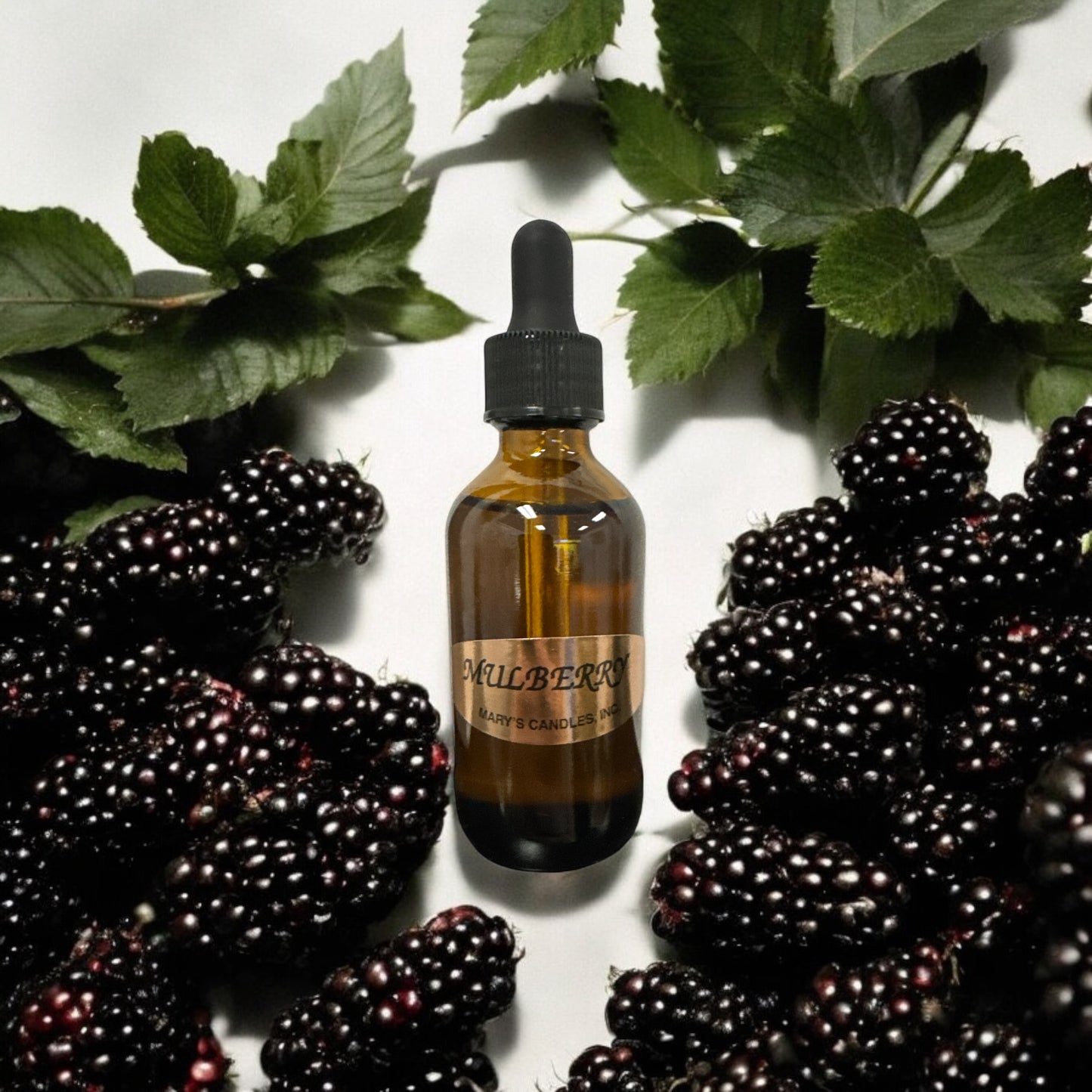 🍇 Mulberry Fragrance Oil ✨