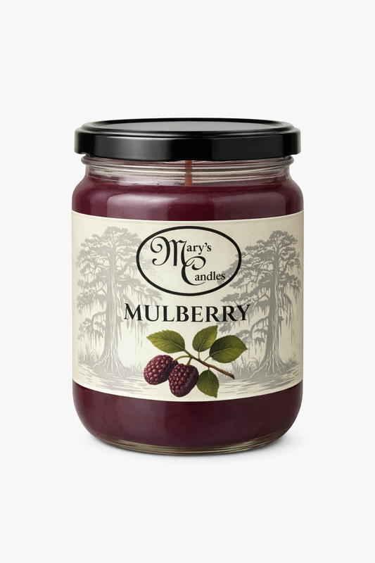 Mulberry 🍇✨
