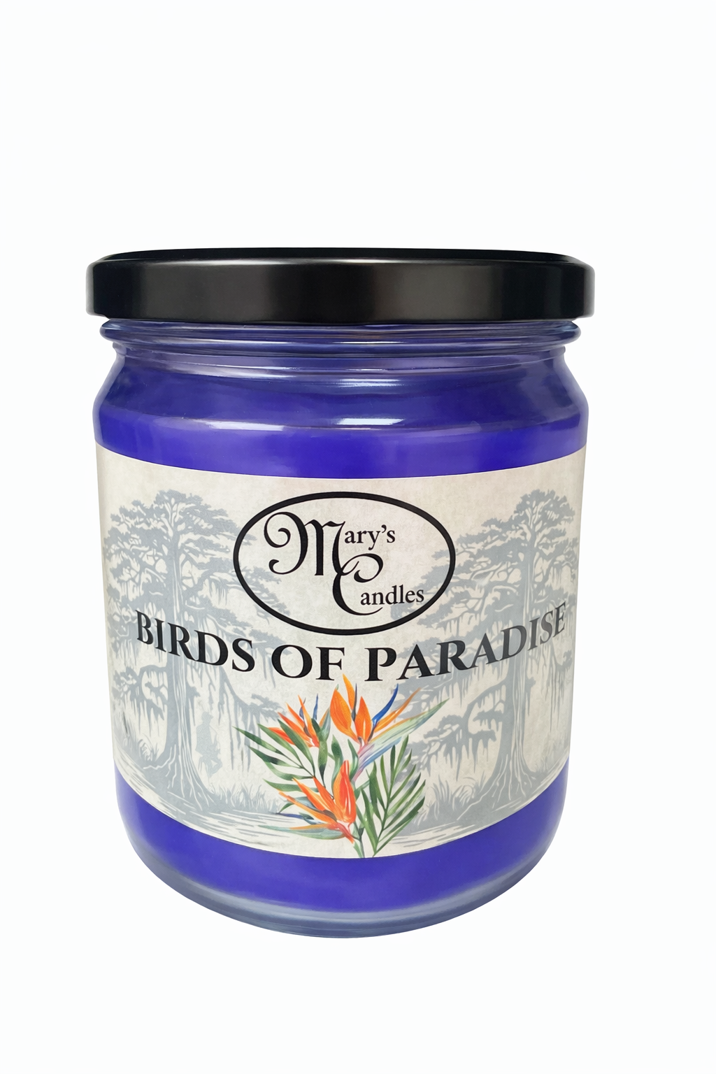 Bird of Paradise  🦜🌴